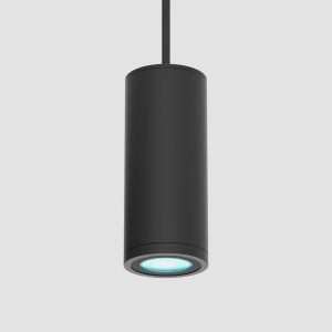 Scope Large Pendant (SPL) Cylinder 