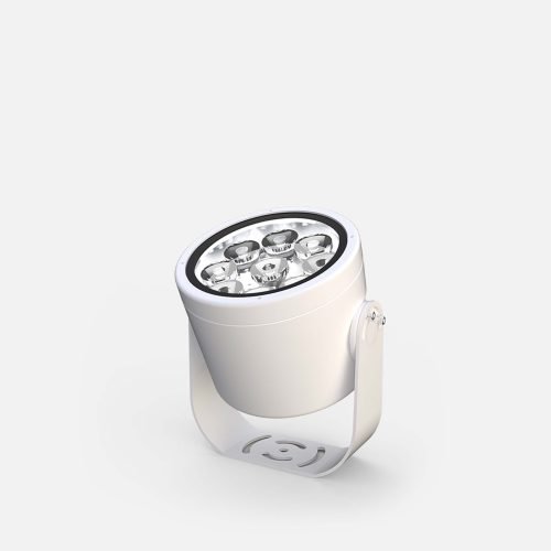 Prospot 6 (PS6)
