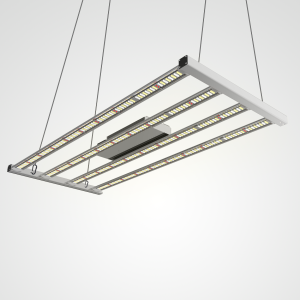 Expressway Powered By Lifted LED Grow Lights
